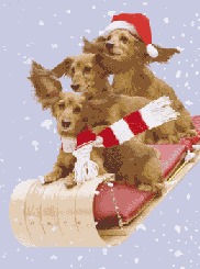 Pups on a Sleigh