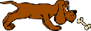 Dog and bone 