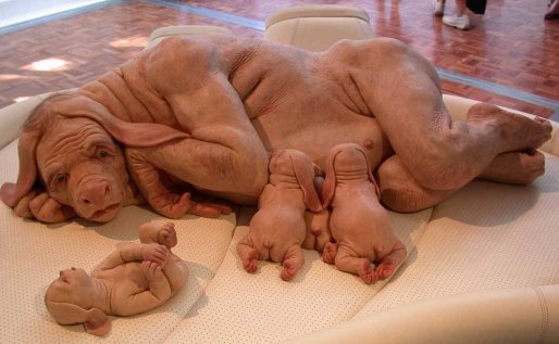 Dog and Pups 