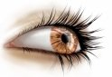 Eye 