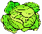 a head of lettuce