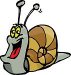snail