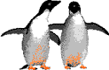 Two Penguins in love.