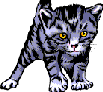 a Cat sneezes