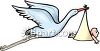 Stork