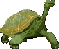 Slow turtle