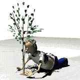 man planting a tree