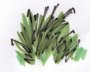 grass